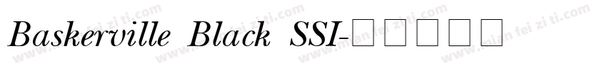 Baskerville Black SSI字体转换